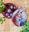 Hardwood Printed Fox Dice Box