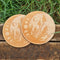 Moon Mushroom Set of 2 Coasters - CRITIT