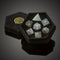 Opalite Compass engraved Gemstone Dice - CRITIT