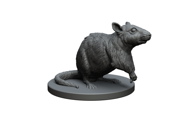 Giant Rat STL Miniature File - CRITIT