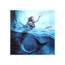 19x25cm Water Element Sorceress Canvas Plaque by Anne Stokes